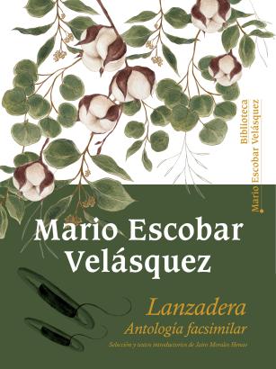 lanzadera revista de coltejer
